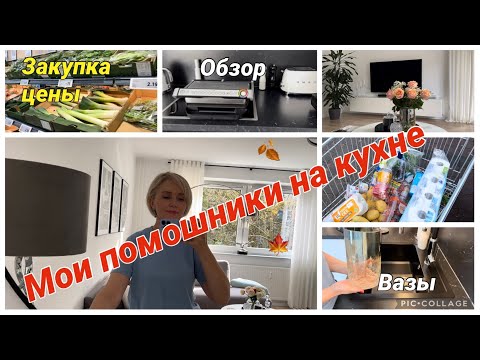 Видео: VLOG🇰🇿🇩🇪✨закупаемся вместе в магазине LIDL / цены/обзор / мои кухонные электроприборы /цветы 🌹