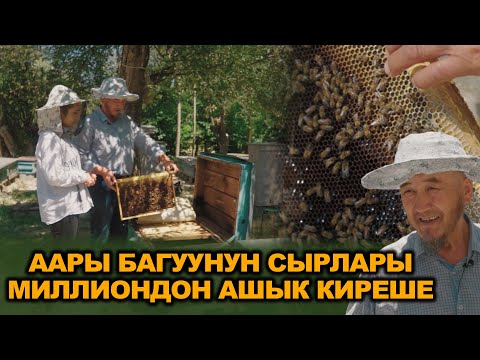Видео: ААРЫ БАГУУ ДЫЙКАНЧАЛЫК МЕНЕН МАЛЧЫЛЫККА КАРАГАНДА ЖЕҢИЛ БИЗНЕС...