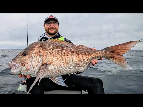 Видео: Мытье, ветер и три БОЛЬШИХ люциана!