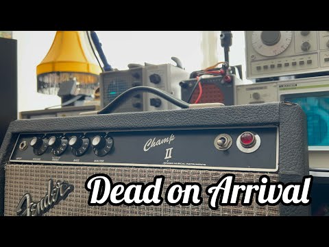 Видео: Мертв по прибытии — Fender Champ II