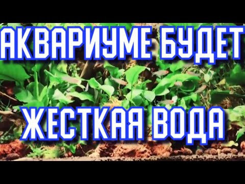 Видео: АКВАРИУМЕ БУДЕТ ЖЕСТКАЯ ВОДА