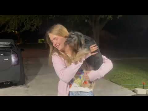 Видео: США 🇺🇸 как прошёл Хэллоуин в Америке