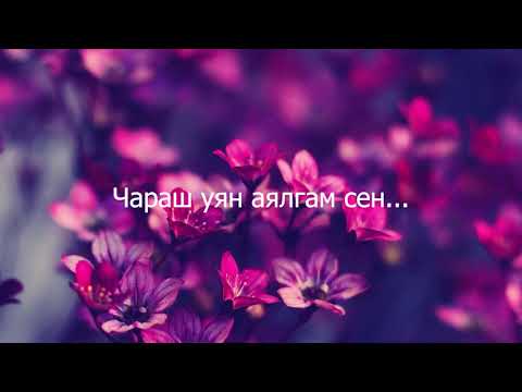 Видео: ЧАРАШ УЯН АЯЛГАМ СЕН Караоке