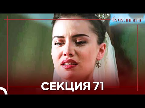 Видео: Чучулигата Cekция 71 (Дублирано на български) FINAL
