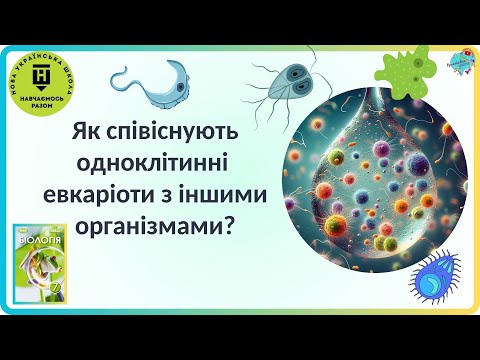 Видео: Як одноклітинні евкаріоти співіснують з іншими організмами