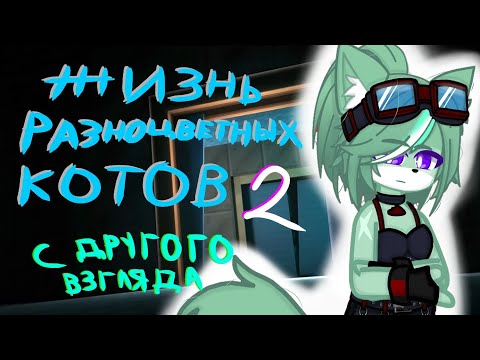 Видео: Жизнь Разноцветных Котов: С другого взгляда "2 Часть" (моё АУ) Без озвучки