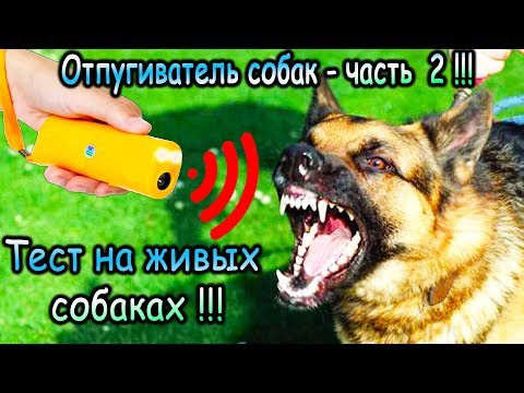 Видео: Ультразвуковой отпугиватель собак с AliExpress - часть 2 реальный тест на живых собаках !!!
