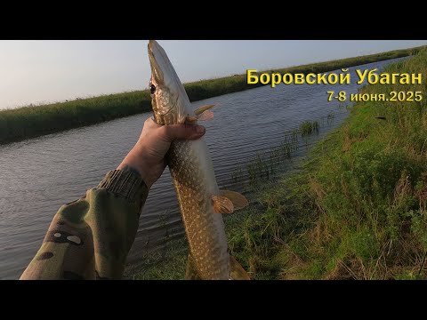 Видео: Один на рыбалке с ночёвкой! Боровской убаган 8.06.25.#щуканаджиг #щуканаспиннинг #
