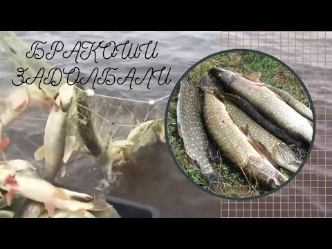 Видео: ЛОВЛЯ ЩУКИ НА СПИННИНГ ЗИМОЙ РАЗБОРКА С БРАКОНЬЕРАМИ
