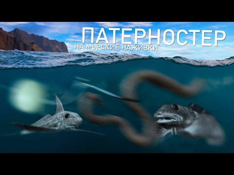Видео: РУССКАЯ РЫБАЛКА 4 - Норвежское море / Патерностер на морские наживки / Стрим