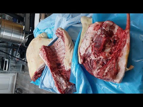 Видео: Автоклав наш помощник! Заготовка еды впрок. Мясокостный бульон в реторт пакетах в автоклаве Нефор 20