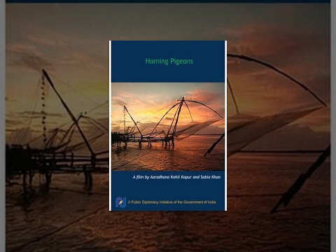 Видео: Почтовые голуби