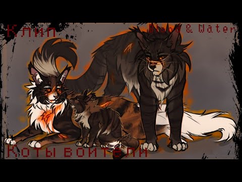 Видео: Коты воители клип: Blood & Water