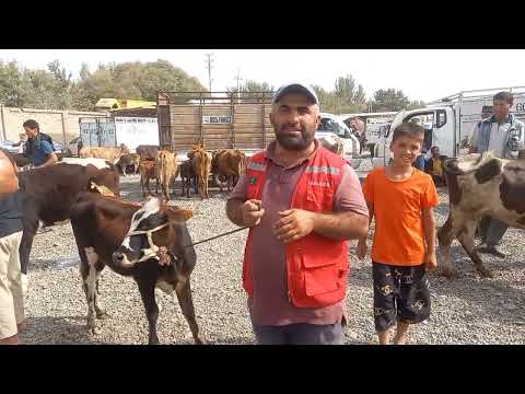 Видео: чоршанбебозори   нохияи хамадони 3 сентябр зурибад 👍 👍👍👍