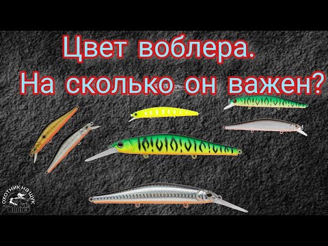 Видео: Цвет воблера. На сколько он важен?