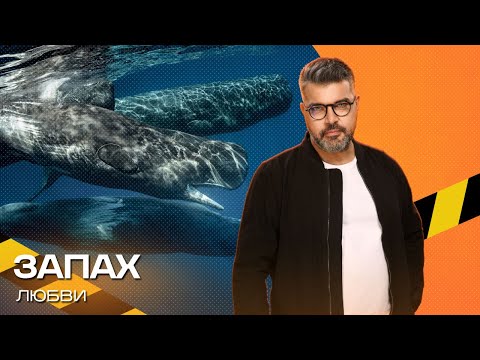 Видео: Запах любви. Экстремально-познавательное шоу