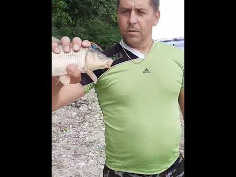 Видео: Неудачная рыбалка на Дону.