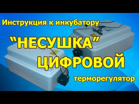 Видео: Инкубатор НЕСУШКА с цифровым терморегулятором. I купить инкубатор