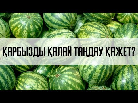 Видео: ҚАРБЫЗДЫ ҚАЛАЙ ТАҢДАУ ҚАЖЕТ?