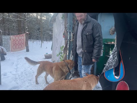 Видео: Минск. Беларусь. Люди свалки. Мусорщик.
