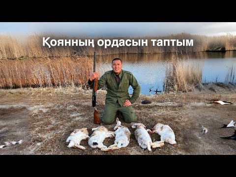 Видео: Қояндары лақпен бірдей екен. Охота на зайца. ЗАЙЦА МНОГО, КАК ВСЕГДА.