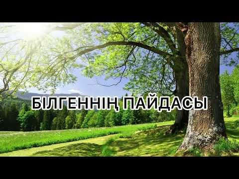 Видео: БІЛГЕННІҢ ПАЙДАСЫ