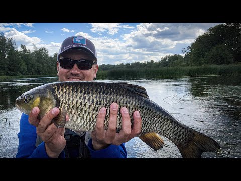 Видео: МЕГА раздача ГОЛАВЛЯ, эта ПРИМАНКА творит чудеса!