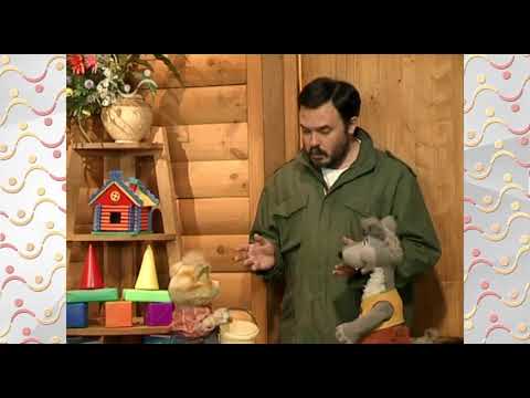 Видео: Шишкин Лес утро.  Зоология.  Ночной лес