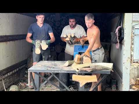 Видео: 3 вересня 2023 р.🪵🪵🪵👍