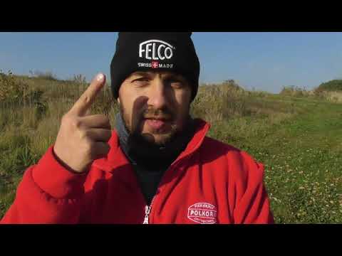 Видео: Шелковица подделка. Как купить шелковицу и не быть обманутым