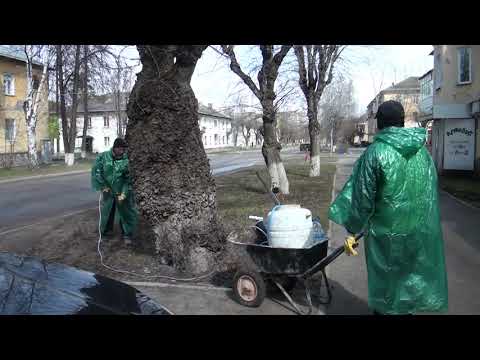 Видео: Реальный Краснокамск 71 выпуск