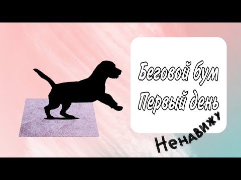 Видео: Беговой бум/ 1 день (эксперимент )