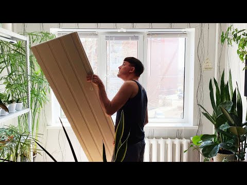 Видео: Комнатные цветы - Уборка на подоконнике | Апрель 2021