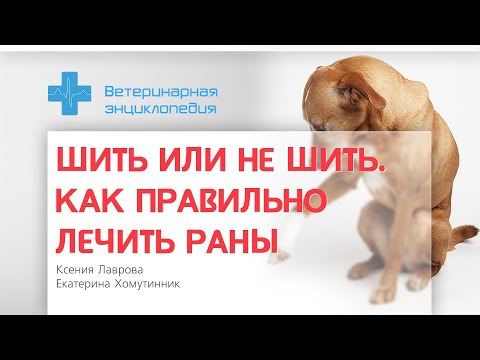 Видео: Как правильно лечить раны