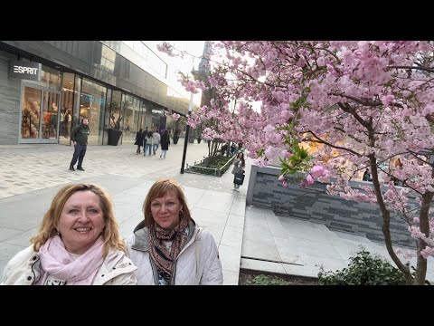 Видео: Тилбург город в Нидерландах