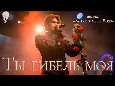 Видео: Ярослав Баярунас - Ты гибель моя (мюзикл «Notre Dame de Paris»)