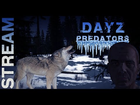 Видео: 🔴DayZ 1.19 PREDATORS HARDCORE 🔴 ВАЙП, ПАТЧ, ВЫЖИВАНИЕ...