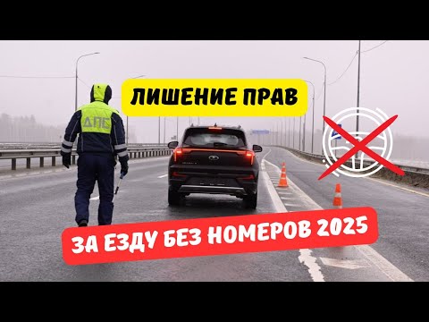 Видео: Лишение прав за езду без номеров 2025