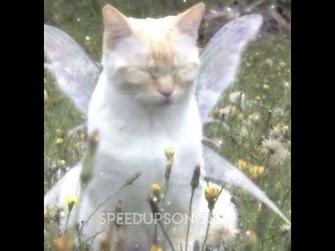 Видео: ssshhhiiittt! - айсберг (speed up)