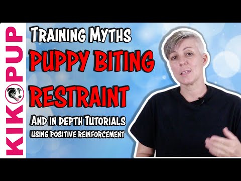 Видео: Мифы о дрессировке и советы, как не кусаться и как ограничивать подвижность щенка – Профессиональ...