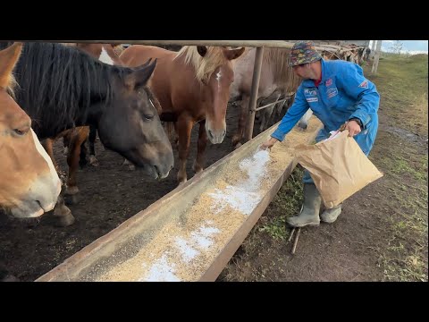 Видео: Глистогоним наших Тяжеловозов