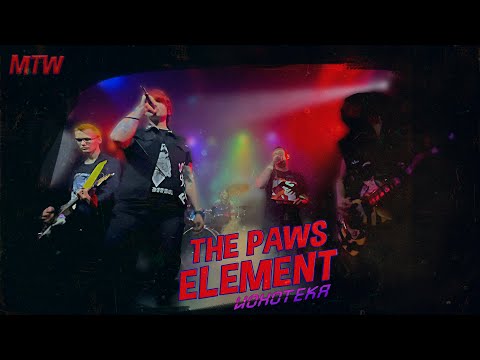 Видео: THE PAWS ELEMENT "ИОНОТЕКА" #фурри #концерт #музыка