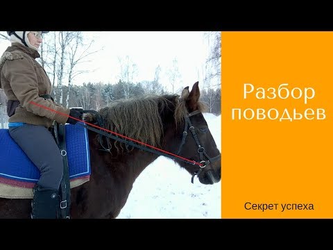 Видео: Разбор поводьев / как избежать ошибки/ Дивные Кони
