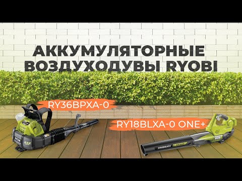 Видео: Аккумуляторные воздуходувы Ryobi - насколько они сильные?
