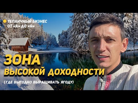 Видео: Зона высокой доходности. Почему выгодно выращивать ягоду именно в Северных регионах?