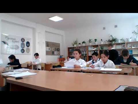 Видео: 3-4 сыныптар үшін "Алтын сақа" олимпиадасы - 2