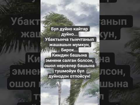 Видео: Бироого жамандык  кылуудан алыс бол.