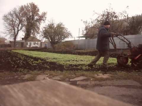 Видео: Мотоблок "ОКА". Осенняя вспашка по горчице.