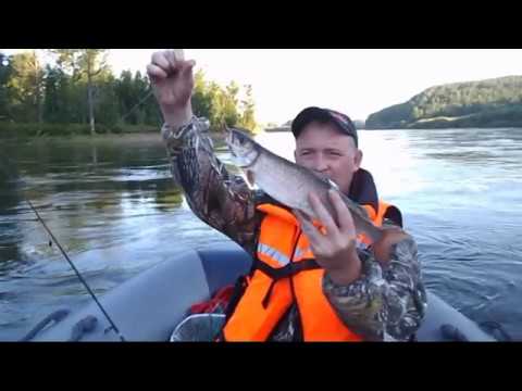 Видео: ловля Ленка и Тайменя на блесну р. Кан 2019