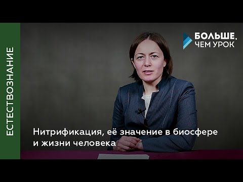 Видео: Нитрификация, её значение в биосфере и жизни человека